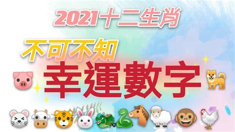 12生肖幸運數字|龍年到！12生肖最強開運秘訣大公開 幸運數字、顏色。